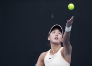 竞技宝-莎拉波娃遭遇七连败，瑞士队教练面临压力！的简单介绍