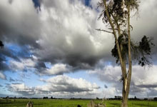 竞技宝- 字母哥在湖人队打球嘛 